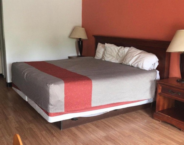 The Nest Hotel Suffolk image 10